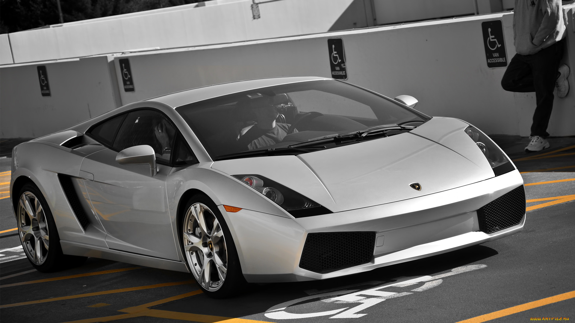 lamborghini, gallardo, , automobili, s, p, a, , 